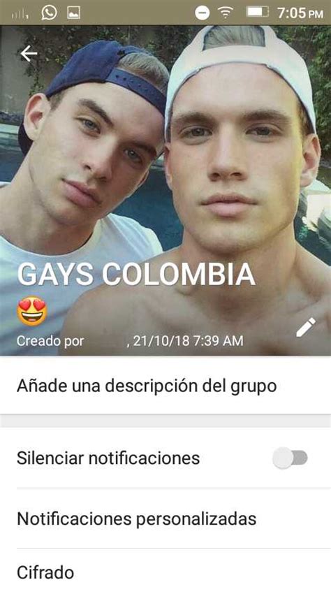 grupo de gay whatsapp|570+ Active Gay WhatsApp Group Links (Updated